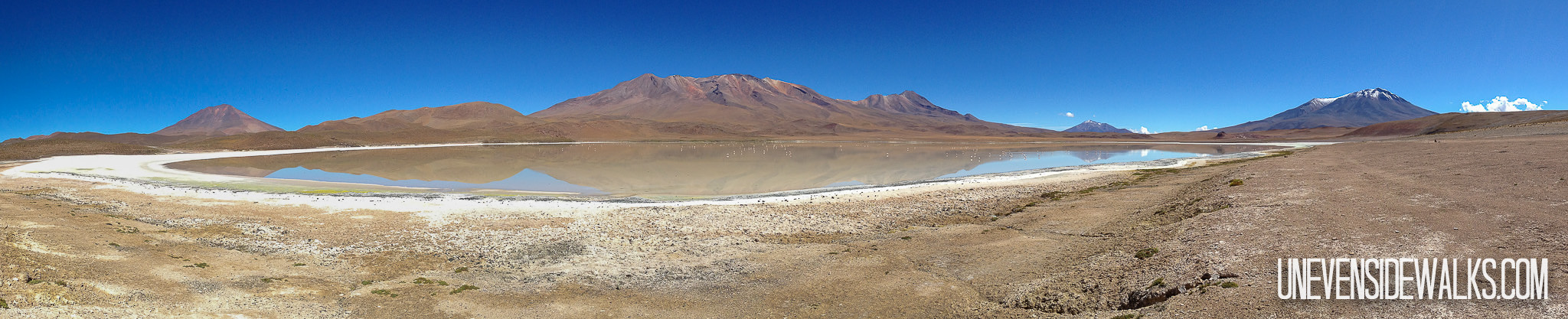 Laguna Panorama Picture in Bolivia by Lake Side